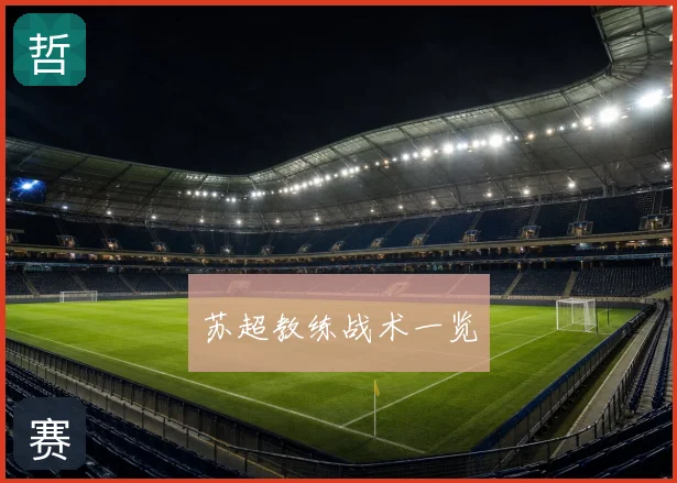 苏超教练战术一览